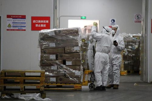 《公路、水路進口冷鏈食品物流新冠病毒防控和消毒技術指南（第四版）》印發 強化道路貨物運輸環節防控